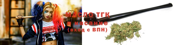индика Анжеро-Судженск