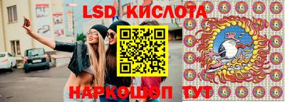 гидропоника Кингисепп