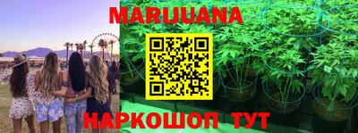 гидропоника Кингисепп