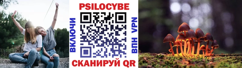 где найти наркотики  Тара  Псилоцибиновые грибы Magic Shrooms 