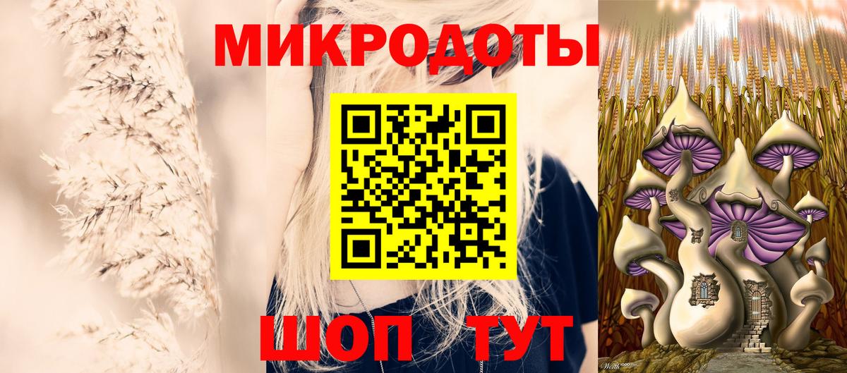 Галлюциногенные грибы Cubensis  Тара 